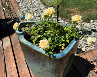 Assortment of Large Ceramic Planters