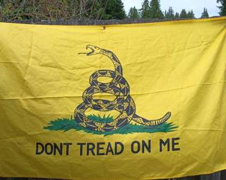 Don't Tread on Me Decorative Flag