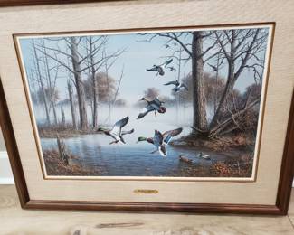 FRAMED PRINT OF DUCKS, BACKYARD HAVEN