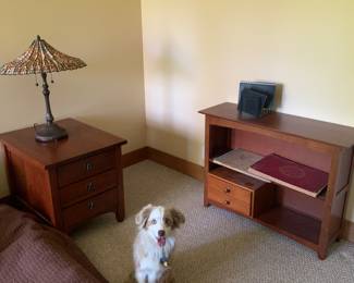 end table & bookshelf & Lamp
