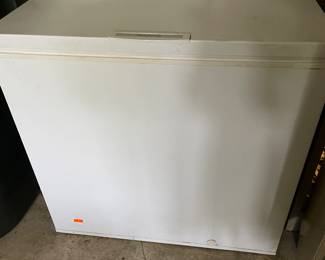 Chest Freezer 