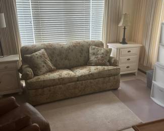 Sleeper Sofa - Great Condition 