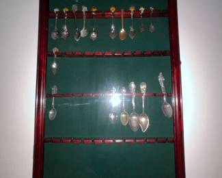 Spoons with case