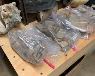 South West Am. Indian pottery shards