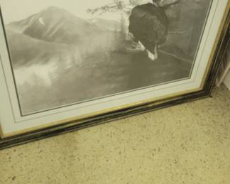 Cole johnson signed prints