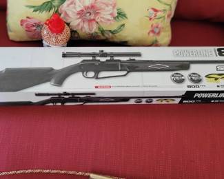 New Daisy bb gun