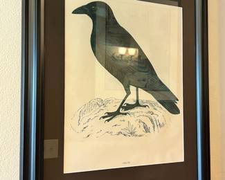 Framed & Matted Crow Print