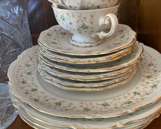 Mitterteich Bavaria "Lady Patricia" China Set