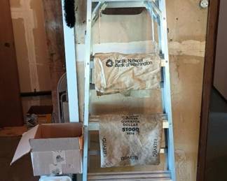 Werner 5 Step Ladder