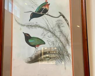 John Gould Birds