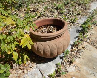 Pottery planter