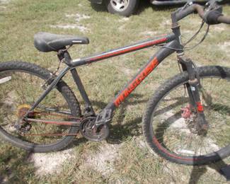 Mongoose bike