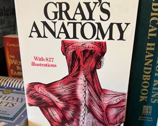 Gray's Anatomy soft cover