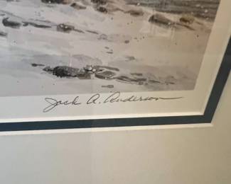 Jack Anderson signed & numbered "island Flurry)