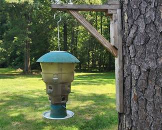 Owner Says this keeps with squirrels away