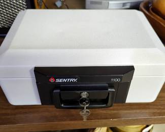 Sentry 1100 Fire Proof Locking Case Including Key, 6.5" x 14.5" x 11"