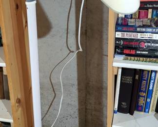 Gooseneck 53" Floor Lamp