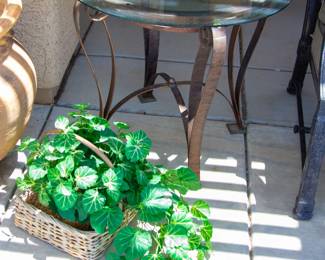 Glass top table and decorative plant