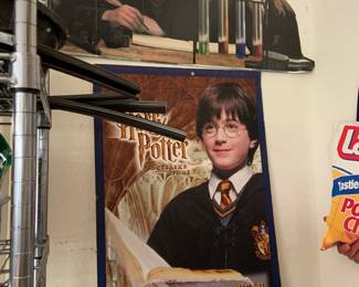 Harry Potter cardboard cut outs