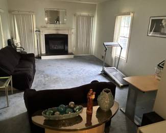 furniture, exercise equipment, decorative, housewares