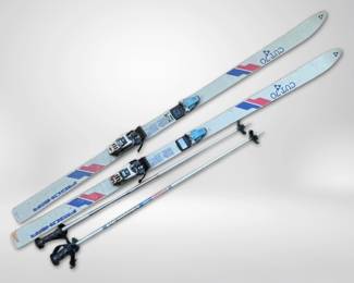 Fischer Flair Cut 70 Skis