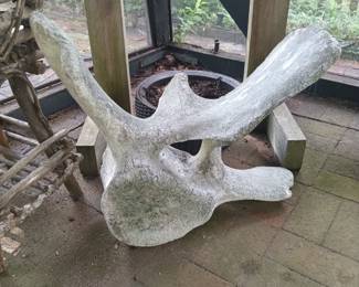 Antique whale vertabrae found on Maine beach in late 1960's