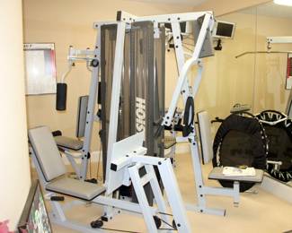 Hoist 4600 Multi Gym Fitness System