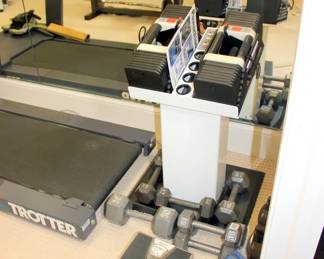 Power Block Weight Set with Stand, Dumbbells