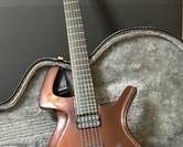 Parker Fly Guitar with Case