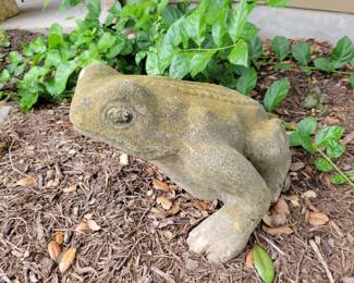 Yard frog