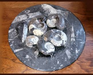 Decorative Fossils
