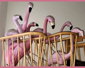 A Flamboyance of Flamingos 