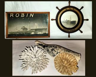 Old Robin Lines Photos and Corals