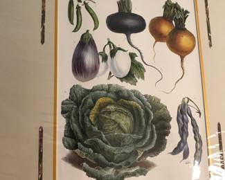 Matted antique botanicals…I framed.