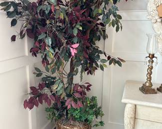 	#8	Faux plant 6'H	 $30.00 			