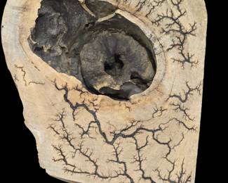 Fractal wood burning