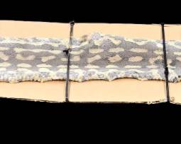 6 foot snake skin