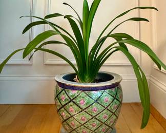 Oversized Planter with Houseplant
