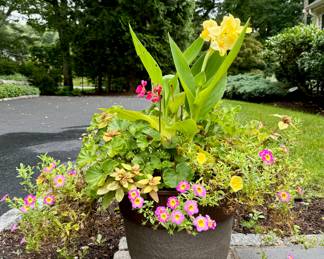 (2) Lightweight Planters