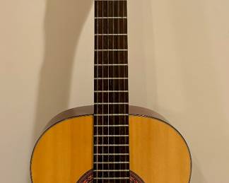 Jasmine by Takamine Guitar (Model JS 34)