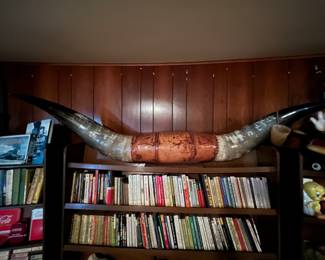 take the bull by the horns