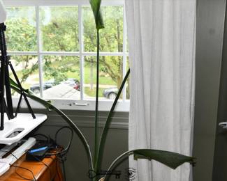 318Upper Level Office