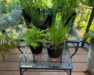 6 Potted Herbs (Spearmint, Chives, Rosemary) + 2 Metal Tables	