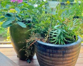 Extra Large Glazed Ceramic Garden Pots w/ Plants	