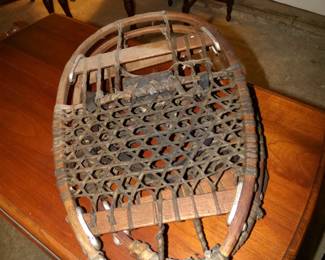 Snowshoes 