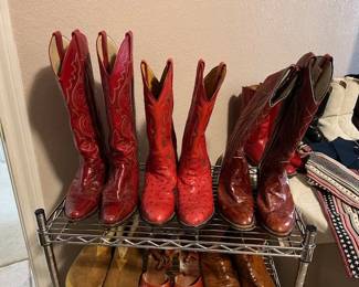 Ladies, Ostrich, Snake and Eel boots