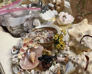 A close look at some of the shell art pieces