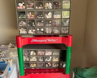 Sea Shells by the Sea Shore. We got'em!