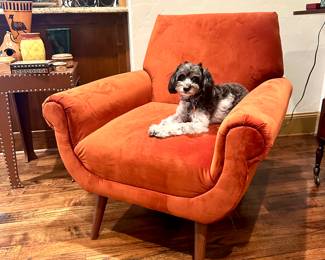 Mid-Century Style Accent Chair (and Scruffy)