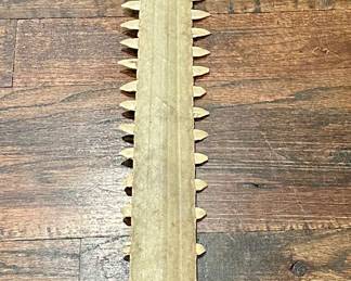 Sawfish Rostrum